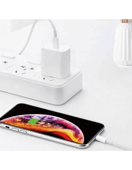 Cable USB-C a Lightning 30 W Classic (1,2 m) | Color Blanco